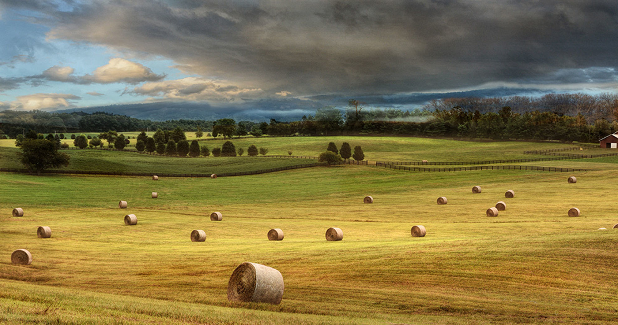 Farms & Open Spaces Category Honorable Mention #2: